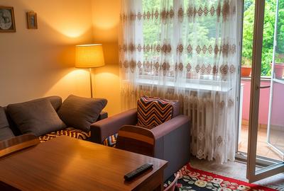 Apartament 4 camere ultimul etaj zon centrala_Parcul Eminescu - 1