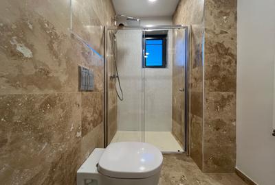 Inchiriere Apartament 4 Camere Iancu Nicolae - 33