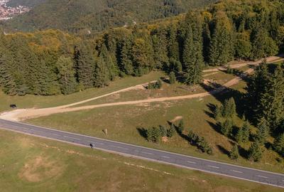 Teren premium pentru dezvoltare de lux – Drumul Poienii, Brasov - 10
