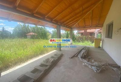 Vila  individuala cu garaj,Curtea Domneasca -Domnesti - 7