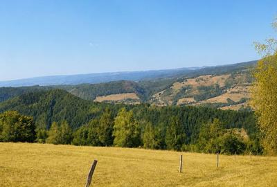 Casă de vacanță Bulz - 6