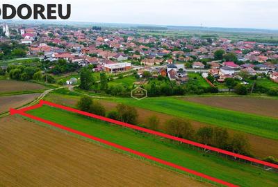 Teren 3.600 m² in Odoreu | 7 km de Satu Mare | 160 m de Principala - 6