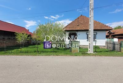 Vanzare casa traditionala, teren 1583 mp, Polovragi - 9