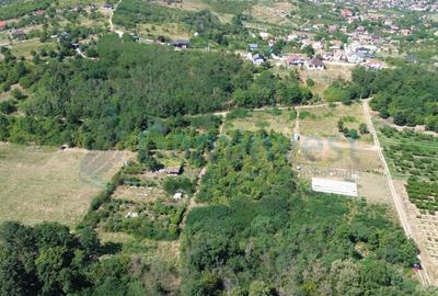 Teren intravilan de vanzare, Paleu, Bihor - 4