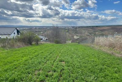 Teren intravilan 3271 mp Valea Lupului, Iași deschidere la asfalt 1 Decembrie - 1