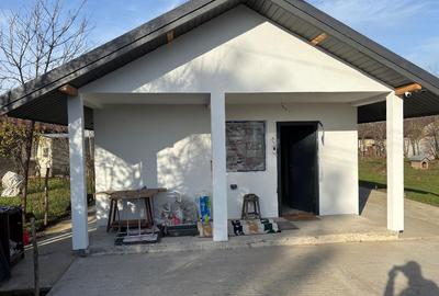 Casa construita de tip Timberframe - 1