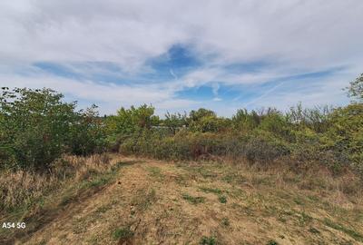 Snagov-Lac - 8