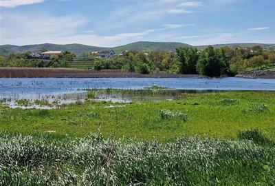Teren cu deschidere la lac de vanzare in localitatea Somova Tulcea - 7