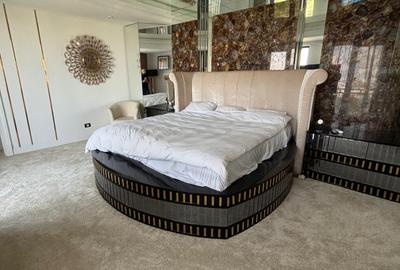 Penthouse pe doua etaje 11/12 , 4 camere, 3 bai Parc Tineretului lux si opulenta - 6