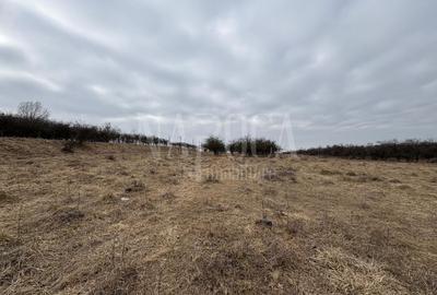 Teren intravilan pentru constructii de vanzare in Feleacu - 3