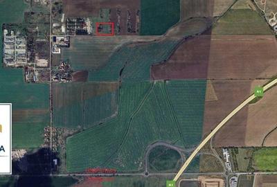 Teren 1.85ha Extravilan Arabil, utilitatiile in zona, Aradul nou Arad - 3