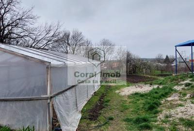 OPORTUNITATE Afacere la Cheie – Stație GPL Auto  Ghimpati, Giurgiu - 7