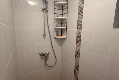 Casa vânzare comuna Bozioru munții Buzăului - 11