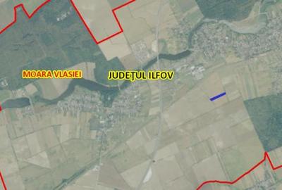 Teren de vanzare in Moara Vlasiei - 7170 mp - aproape de Padurea Biglaru - 4