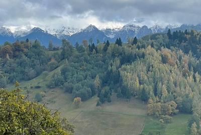 Teren extravilan cu priveliste catre Bucegi – Moieciu de Jos 4.700 mp - 5