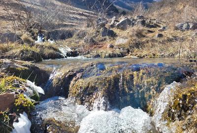 Teren intravilan 1.271 mp – Izvoarele, jud. Alba - 5