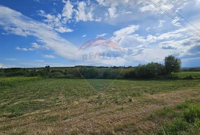 Teren extravilan 12000 mp- Pădureni-Șendriceni, Botoșani - 3