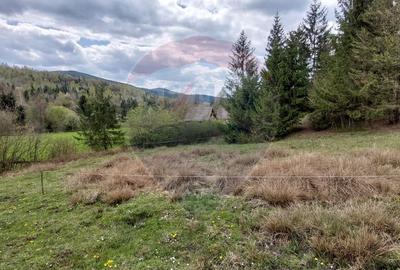 Poienita 2800mp, Covasna, zona hotel Clermont, inconjurat de padure - 12