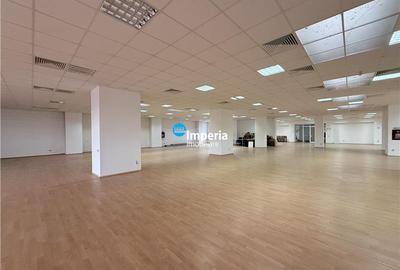 Birou, 804 mp în Păcurari