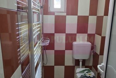 Vila de vânzare cu 8 camere și garaj in Busteni - 66