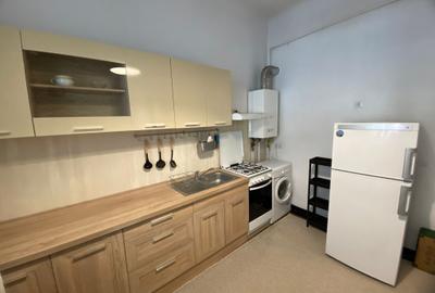 Apartament de închiriat, 1 cameră, 50 mp, zona Piața Muzeului - 7