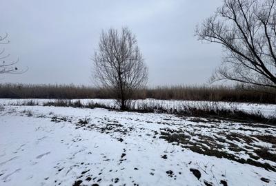 Teren 887 mp cu casa pe malul Lacului Snagov | zona de liniste | Santu Floresti - 4