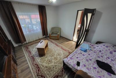 Casa individuala, 150 mp + teren 240 mp, zona Suceagu - 3