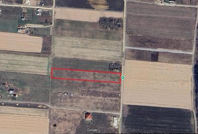 Teren Construcții intravilan de 3837 mp, în Cihei