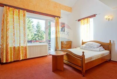 COMPLEX HOTELIER POTENTIAL EXTINDERE | PREDEAL CIOPLEA | 2734 MP TEREN - 40