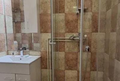 Apartament 2 camere, IANCULUI, AMENAJAT, MOBILAT UTILAT, Centrala Proprie - 5