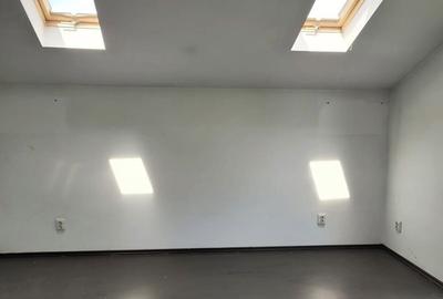Vilă spațioasă S+P+1E+M | Chitila | Str. 8 Martie - 9