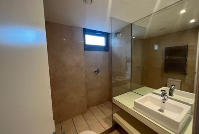 Kiseleff - apartament cu 4 camere de inchiriat - 13