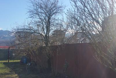 TEREN IN NOUA - INTRAVILAN CONSTRUCTIE- 900 mp  - COMISION 0% pentru cumparator - 12