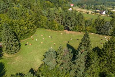 Teren intravilan 6800 mp, zona Lacuri Vulcan, Brașov - 16