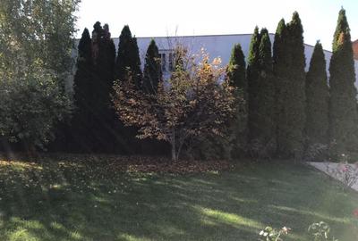 Vila Pipera D+P+1+M, 2004 - 3