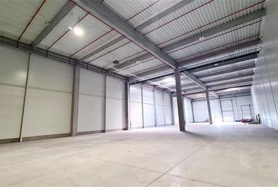 Hala industriala de inchiriat , Timisoara exterior NORD - 6