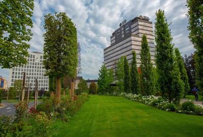 Birou, 500 mp în Central