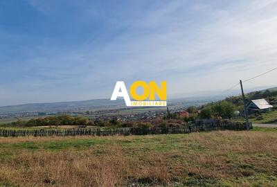 Teren Construcții intravilan de 5500 mp, în Pâclișa