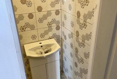 SPATIU COMERCIAL 75MPU ULTRACENTRAL - 4