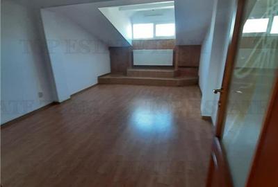 Tineretului-vila individuala aproape  de metrou si parc --pozitie excelenta - 27