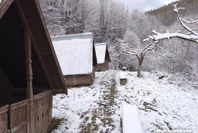 Casa de vacanta, cu lac, 5640 mp teren, Huta, com. Chiuiesti, jud. Cluj - 45