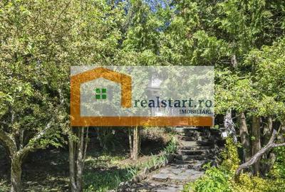 Oportunitate, Restaurant cu MiniPensiune 800mp, 1,8ha teren, Via Transilvanica - 20