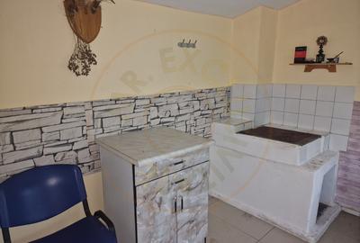 Gospodărie completă și spațioasă -Lunca Corbului- Ciesti! - 20