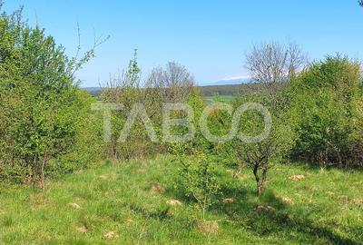 Teren intravilan 4280 mp acces la drum si utilitati zona deosebita - 3