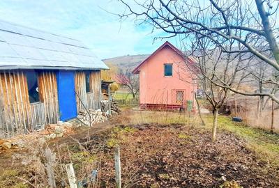 Casa individuala 90mp,teren 1000mp,situata in Dezmir - 2