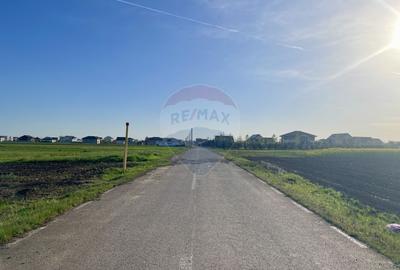 Teren Intravilan 6.220 mp | Strejnicu, Strada Livezilor - 3
