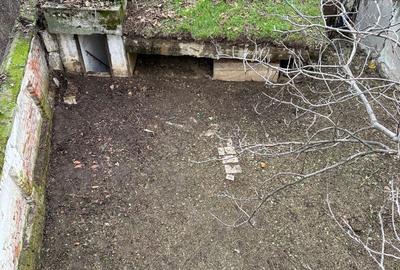 VILA INDIVIDUALA CISMIGIU | INTR. TEMISANA - 22