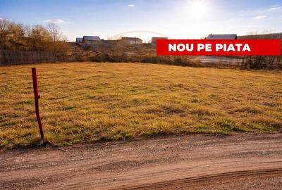 Teren 1262 m2 intravilan sau parcelat Smeura Stoenari Arges - 1