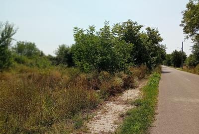 Teren intravilan 836 mp , deschidere 24 ml , zona linistita - 4