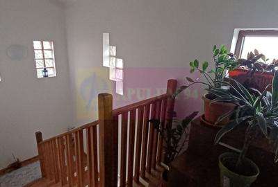 Săbăreni, casă 2011, P+M 4 camere + dependințe, curte 500 mp - 12